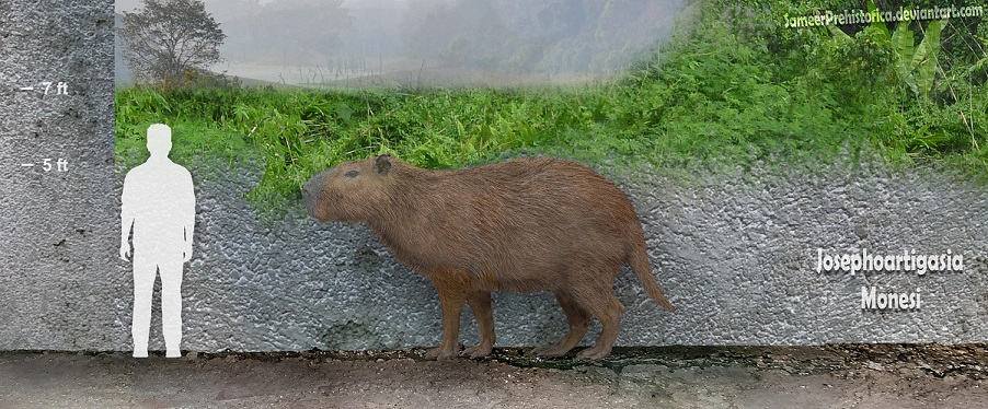 8 Spesies Tikus Terbesar di Dunia Ini Bikin Kamu Mikirin Terus